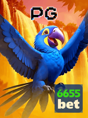 6655BET bônus — cashback 15 por cento e níveis VIP